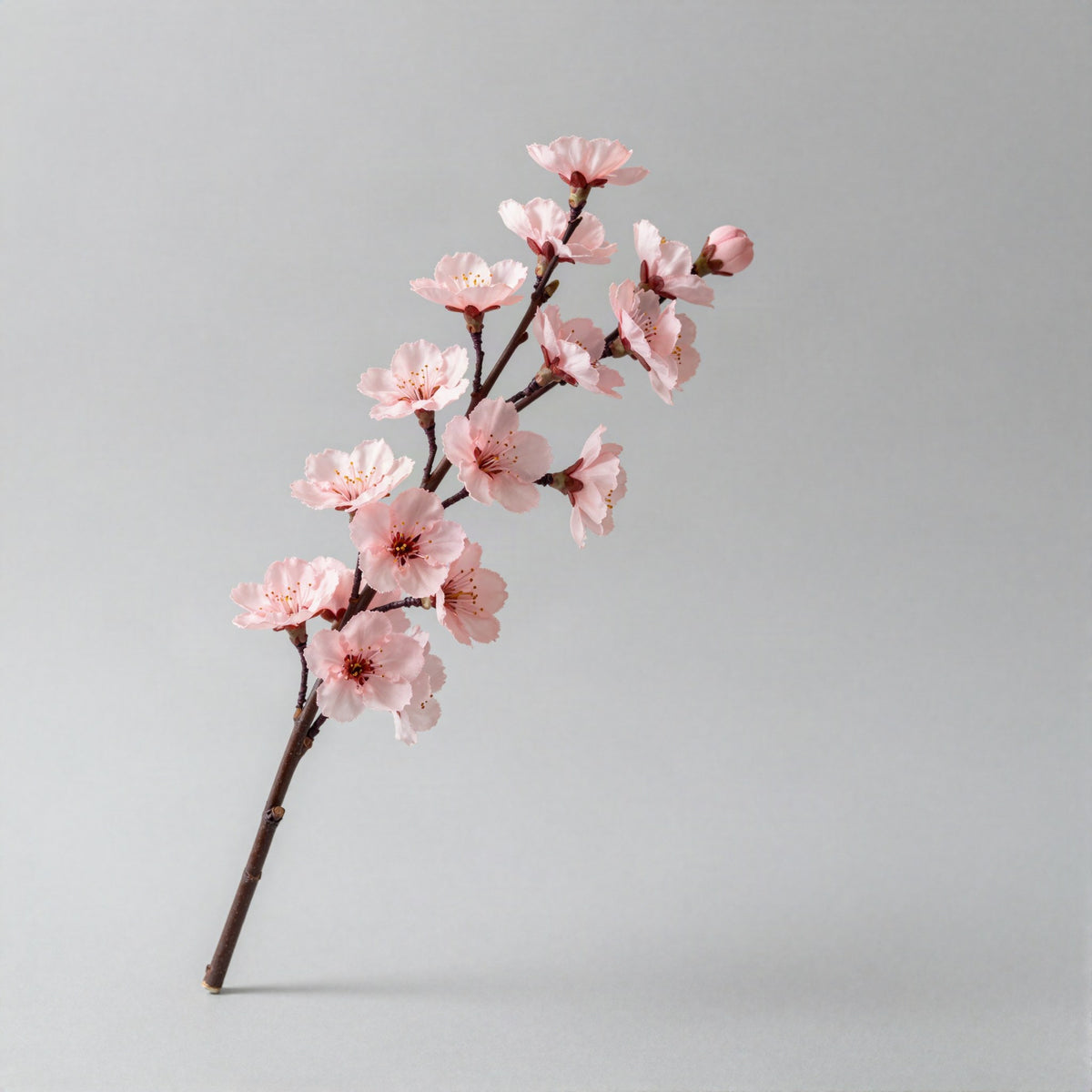 Silk cherry blossom branch in a vase