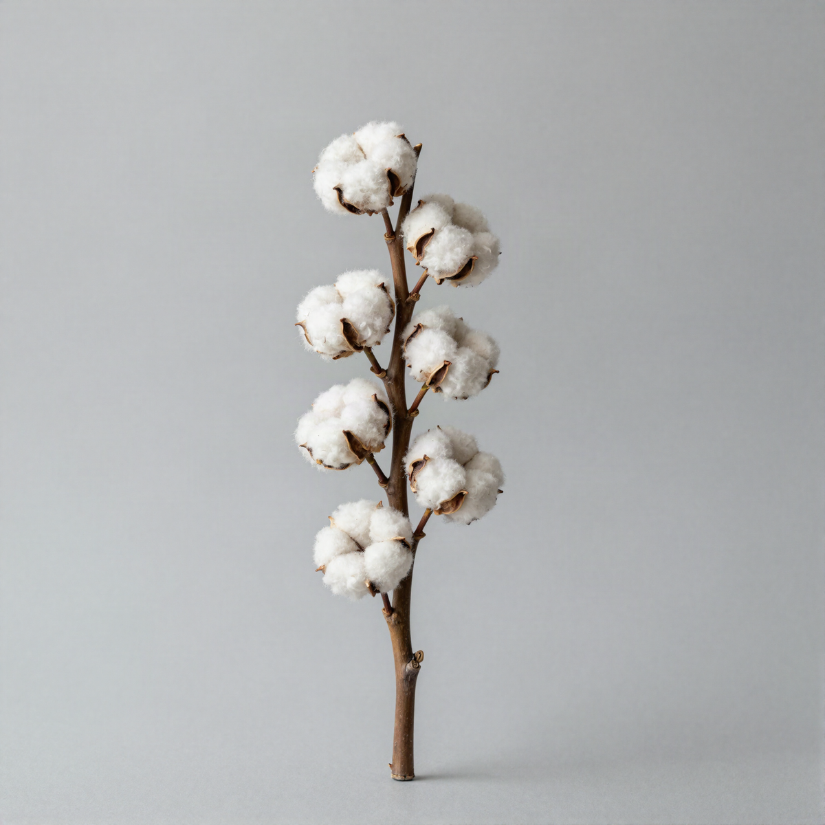 Faux Cotton Stem Bundle