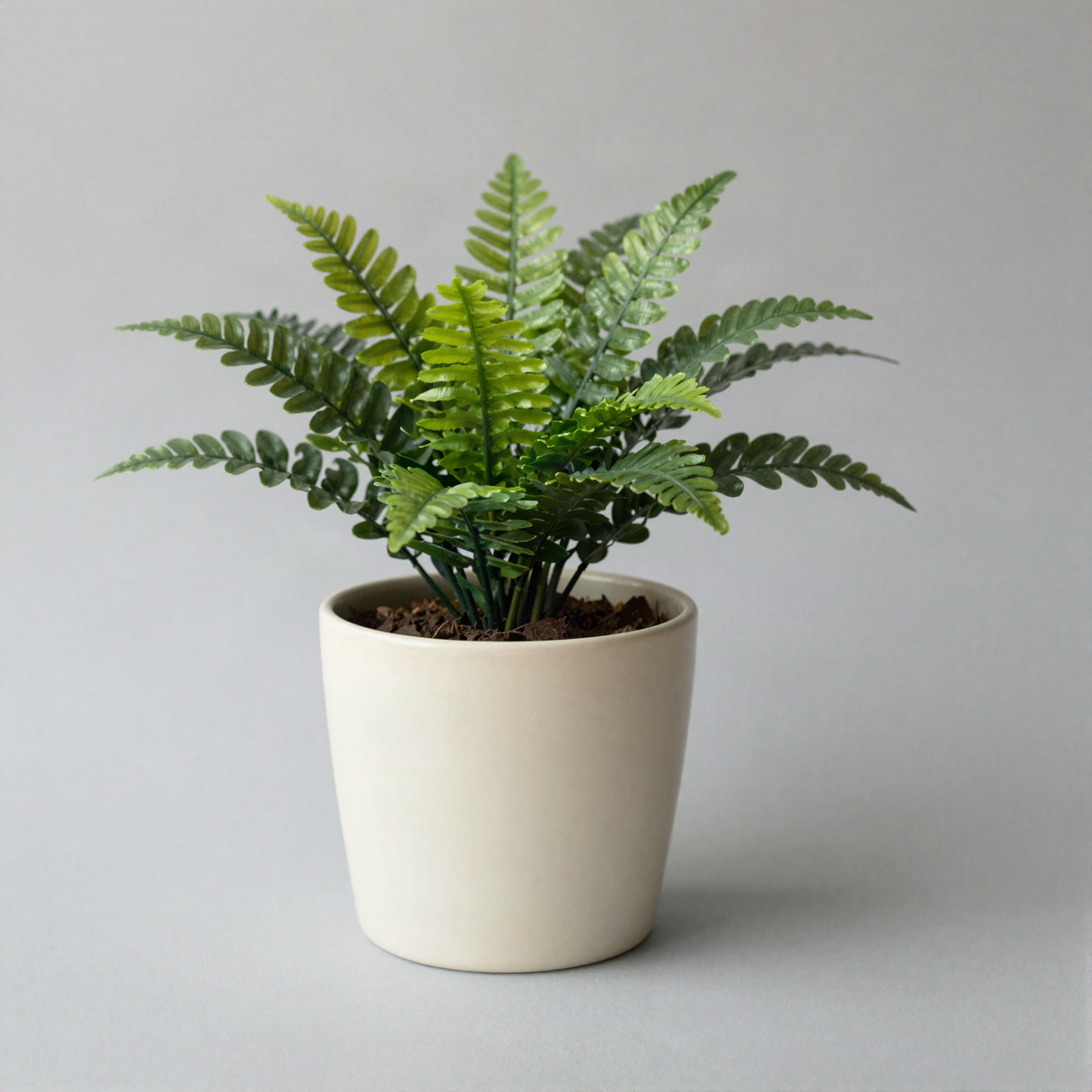 Small Faux Fern in Pot