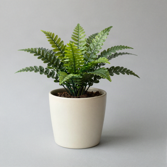Small Faux Fern in Pot