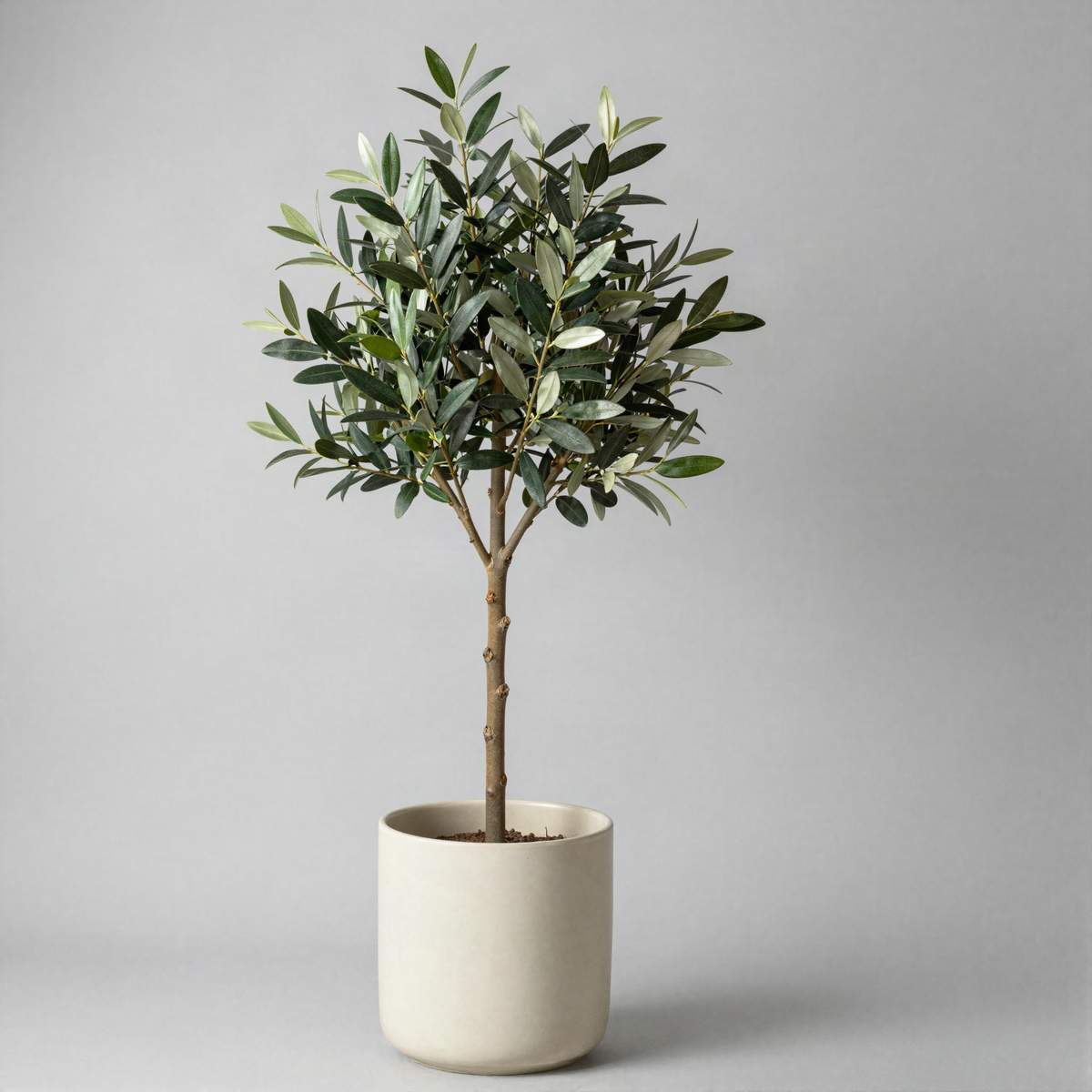 Faux Olive Tree in Pot